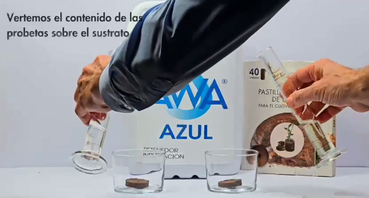 VIDEO-2026-01-12-10-04-40